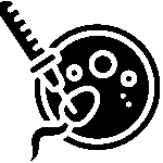 IVF Cost - IVF Procedure